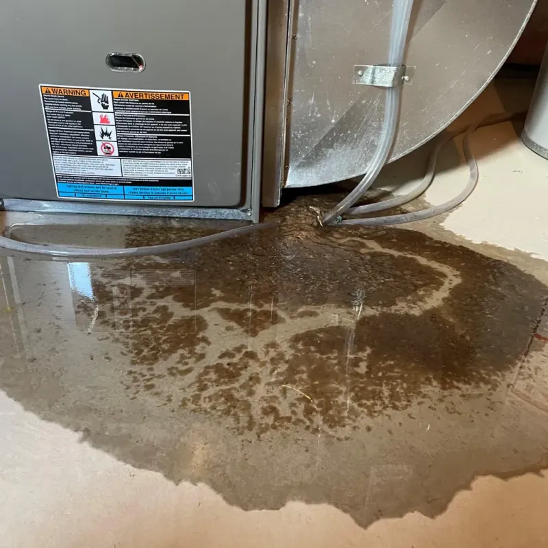 Appliance Leak Cleanup in Ko Olina, HI