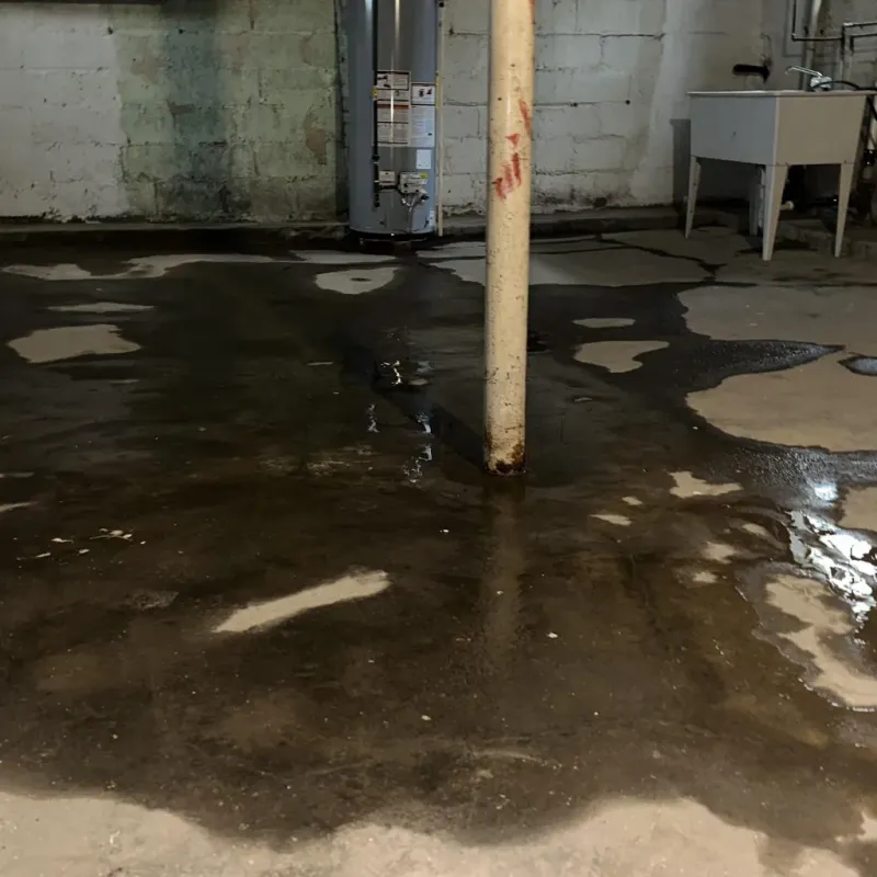 Emergency Water Extraction And Removal in Ko Olina, HI